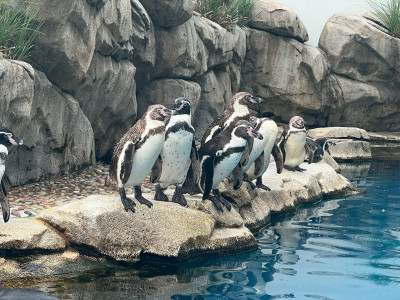 遠足の写真（2025年10月10日（20_29））(10)